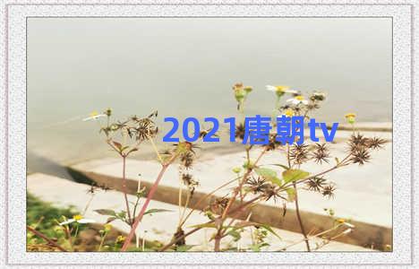 2021唐朝tv