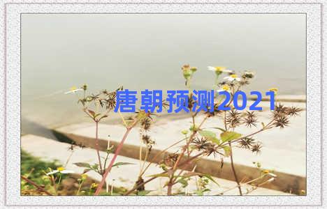 唐朝预测2021